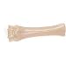 Nylabone Durable Chew Original Flavor  SOUPER (8)