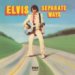 Graphic: Separate Ways by Elvis Presley