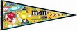 Sporting Goods : Elliott Sadler Driver Nascar Pennant