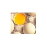 11N8455TPYL. SL160  Hi Pro Egg White Solids