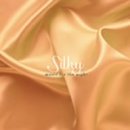 CD-Charts  Search : Silky
