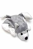 ASPEN PET PRODUCTS TUFF PLUSH RUG DOG POODLE