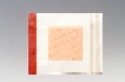 PolyMem QuadraFoam 6 x 6 Film Dressing - PN 0606