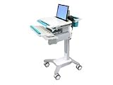 Ergotron SV NB CART WITH DRAWER (SV31-31052)
