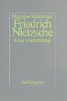 Friedrich Nietzsche: Eine Einfuhrung