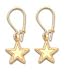 Dallas Cowboys Team Logo Earrings In 14kt Gold