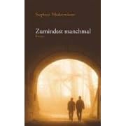Zumindest manchmal. Roman (Gebundene Ausgabe)
