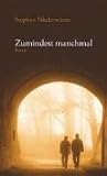 Zumindest manchmal: Roman - Stephan Niederwieser