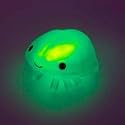 おふろの電気消して!カブトガニの赤ちゃん