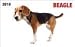 beagle10  - Beagle In Your Face 2010 Wallet Calendar