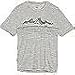 Icebreaker Merino Men's Tech Lite Short Sleeve Crewe Tee Approach Graphic