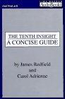 The Tenth Insight: Holding the Vision (Celestine Prophecy)