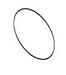 Kohler 73558; ; o-ring for whirlpool; in Unfinish