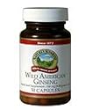 Wild American Ginseng