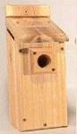 Songbird Cedar Bluebird Box - Viewing Top