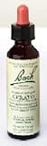 Bach Flower Essence - Cerato