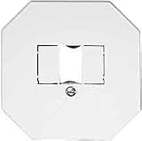 Merten Zentralplatte pws 293819