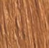 Buy ColorMark professional Instant Color For Grey Roots Golden Blonde