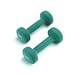 REEBOK Dumbbells (1kg each) (Sold Singly)