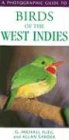 A Photographic Guide to Birds of the West Indies