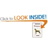 A New Owner's Guide to Weimaraners