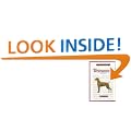 A New Owner's Guide to Weimaraners