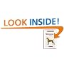 A New Owner's Guide to Weimaraners
