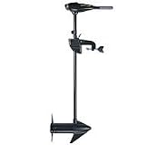 Minn Kota Endura Freshwater 30 Transom Mount Trolling Motor (30lbs thrust, 30' shaft)