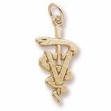 Veterinarian Charm In 14kt Gold. 1/2