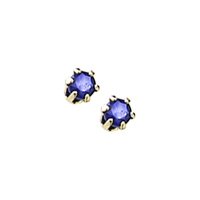14kt. Yellow Gold Child's Blue Sapphire Stud Earrings