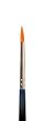 Professional Make-Up Brush Size 2