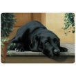 Black Labrador Lab on Porch Pet Placemat Feeding Mat