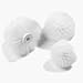 Carlisle 4104500 White 5-Inch Sparta Spectrum Vat & Cylinder Brushes (Case of 6)