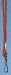 Set of 12 Economy Lanyard - Red