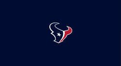 Houston Texans Pool Table Felt