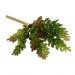Generic Artificial 7-branch Bunch Succulent Floral Foliage Fake Plant Home Decor