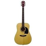 Lyons Acoustic Dreadnought