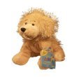Webkinz Golden Retriever with Trading Cards
