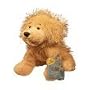 Webkinz Golden Retriever with Trading Cards