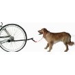Sunlite Bicycle Dog Leash