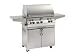 Fire Magic Aurora A540s Stainless Steel 30" Cabinet Gas Grill with Rotisserie, Back Burner