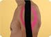 Kinesio Tex Taping Kit