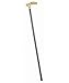 Search : Walking Cane