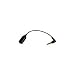 BlackBerry Stereo Headset Adaptor, 2.5mm (F) to 3.5mm (M), Not for Voice Calls