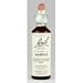Bach Wild Rose (1 x 20 ML)