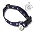 New York Yankees Baseball Dog Puppy Pet Lead Leash - Small Officially Licensed MLB
