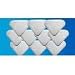10 Pads for H20 Steam Mop and Steamboy Unit