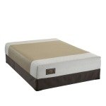 Sealy Embody Prophecy Memory Foam Mattress - Cal King