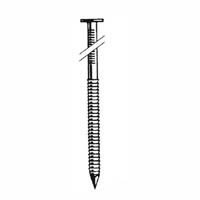 Two Ring Coil Siding Nails, 2 by Bostitch