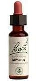 Bach - Mimulus 20 Ml